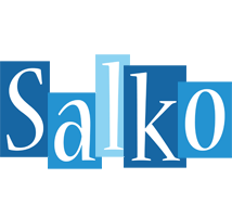 Salko winter logo