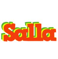 Salla bbq logo