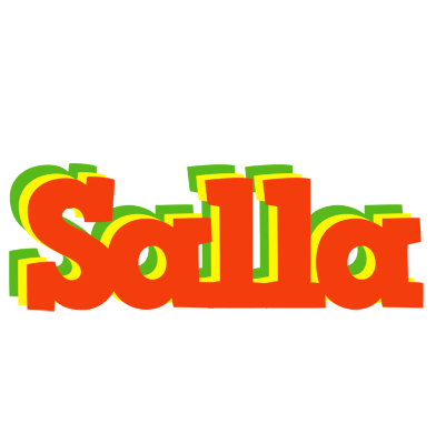 Salla bbq logo