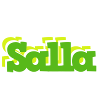 Salla picnic logo