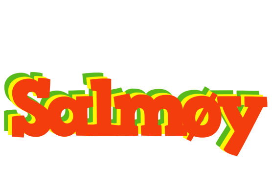 Salmøy bbq logo