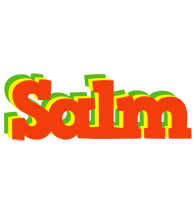 Salm bbq logo