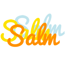 Salm energy logo