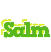 Salm picnic logo