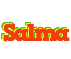 Salma bbq logo