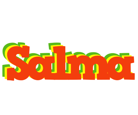 Salma bbq logo