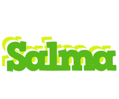 Salma picnic logo