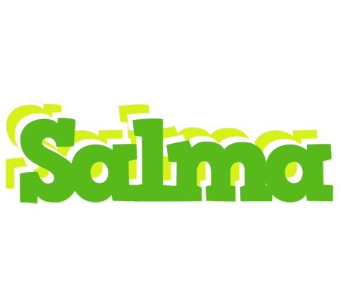 Salma picnic logo