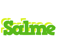 Salme picnic logo