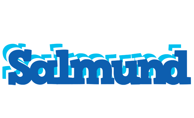 Salmund business logo