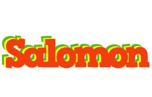 Salomon bbq logo