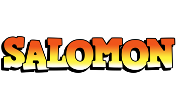 Salomon sunset logo