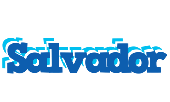 Salvador business logo