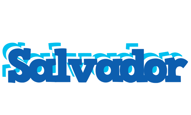 Salvador business logo