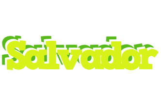 Salvador citrus logo