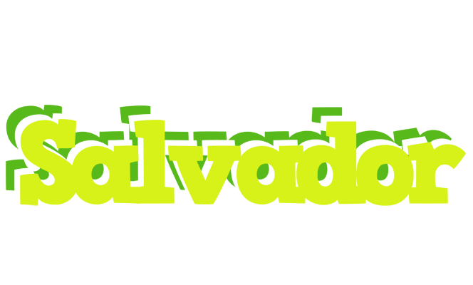 Salvador citrus logo