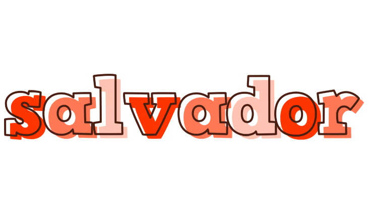 Salvador paint logo
