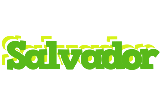 Salvador picnic logo