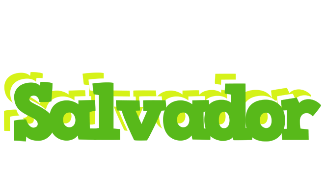 Salvador picnic logo