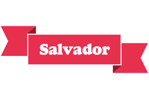 Salvador sale logo