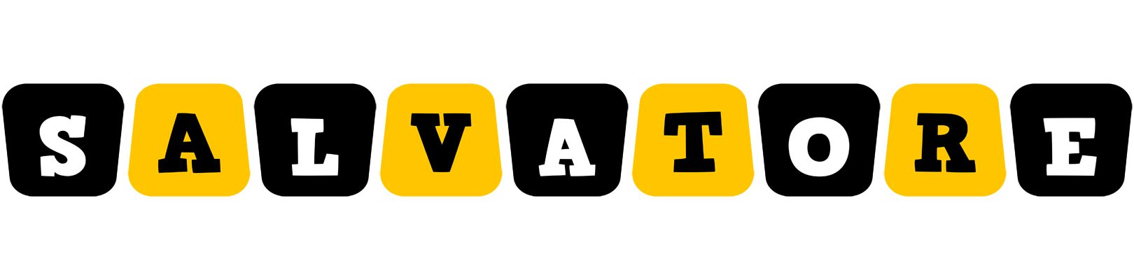 Salvatore boots logo
