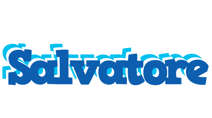 Salvatore business logo