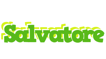 Salvatore picnic logo