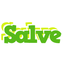 Salve picnic logo