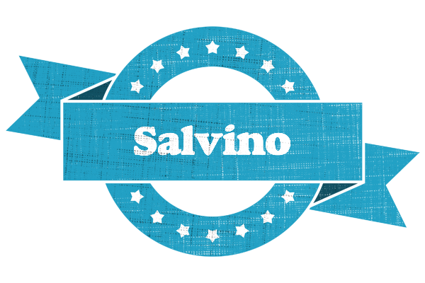 Salvino balance logo