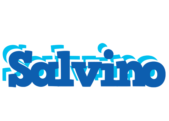 Salvino business logo