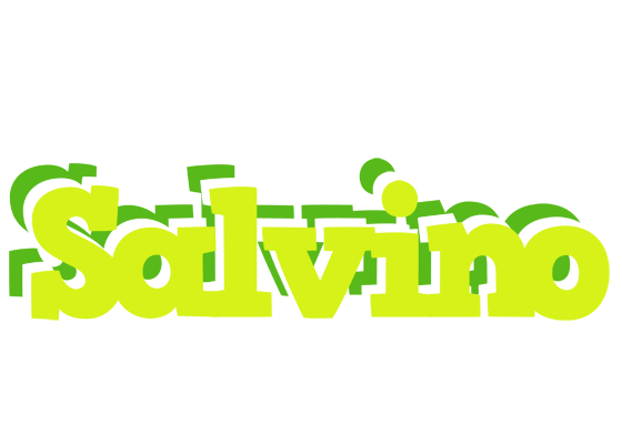 Salvino citrus logo