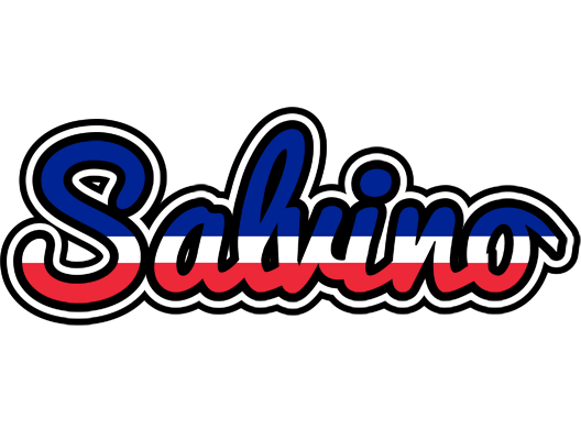 Salvino france logo