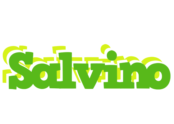 Salvino picnic logo