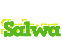 Salwa picnic logo