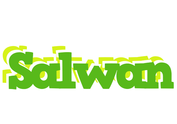 Salwan picnic logo
