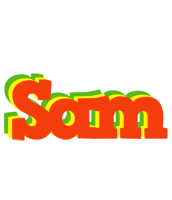 Sam bbq logo
