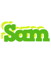 Sam picnic logo