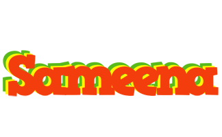 Sameena bbq logo