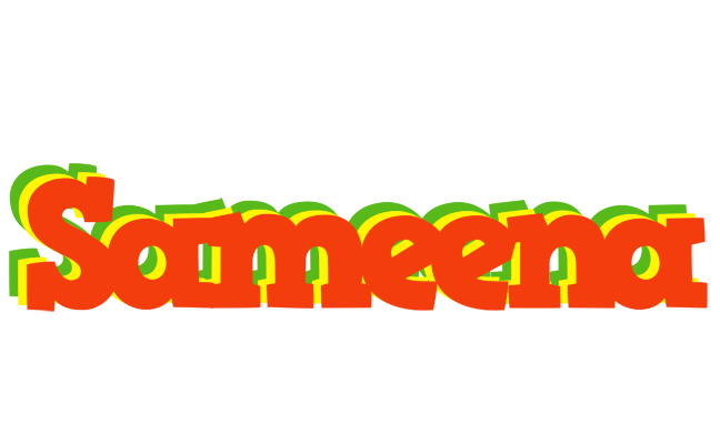 Sameena bbq logo
