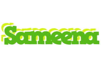 Sameena picnic logo