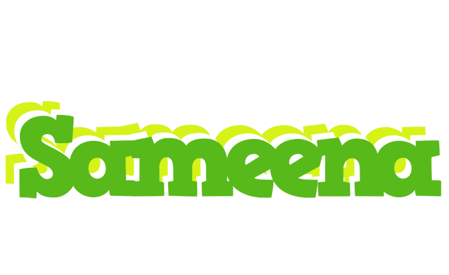 Sameena picnic logo