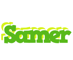 Samer picnic logo