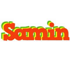 Samin bbq logo