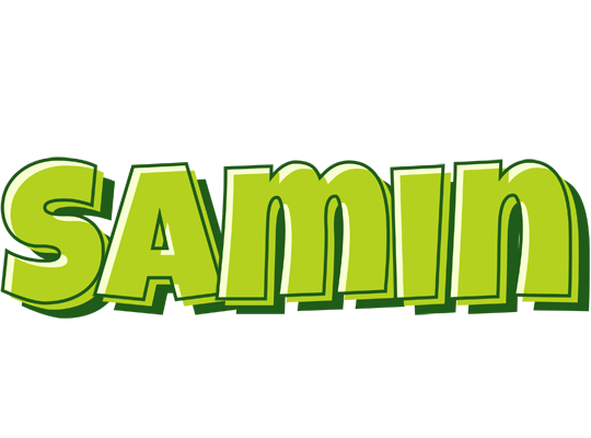 Samin summer logo