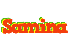 Samina bbq logo