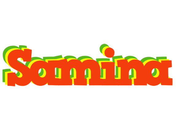 Samina bbq logo