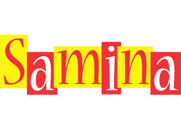 Samina errors logo