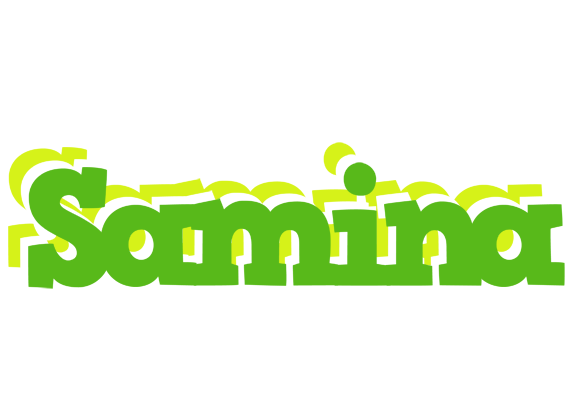 Samina picnic logo