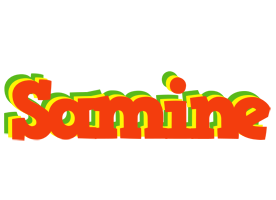 Samine bbq logo