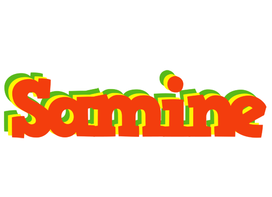 Samine bbq logo